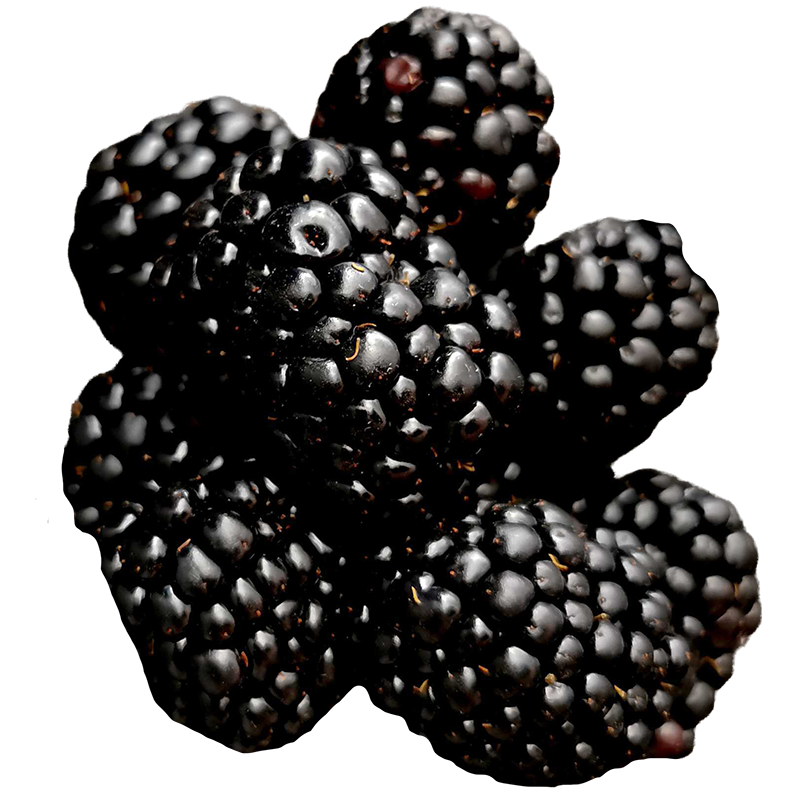 Blackberries